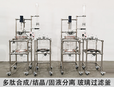 30L玻璃固相合成釜 30L玻璃固相合成釜