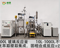 100L玻璃固相合成釜 100L玻璃固相合成釜